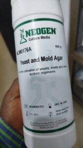 yeast and mould agar neogen